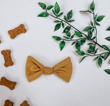 Load image into Gallery viewer, Autumn Bows (small)
