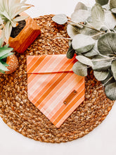 Load image into Gallery viewer, Sugar, Stripes, and Everything Nice
