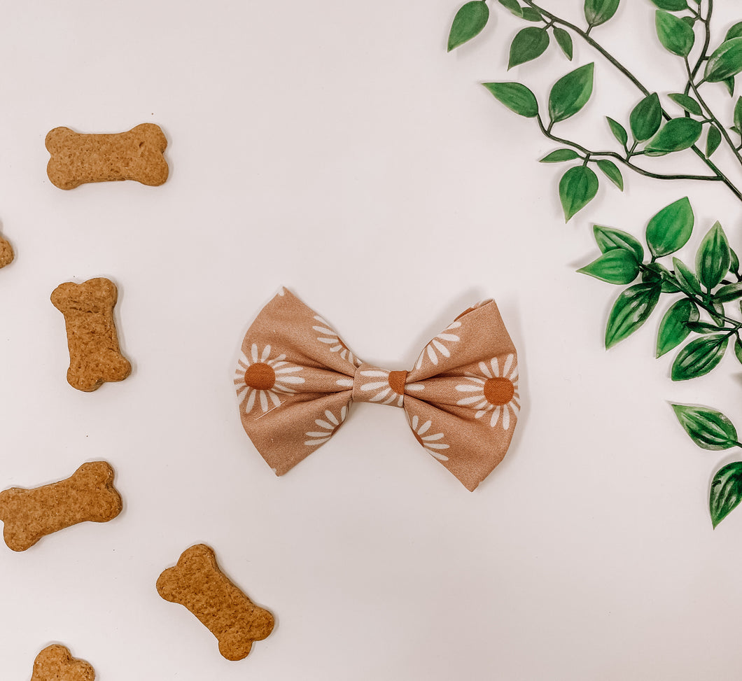 Oopsie Daisy Bow Tie